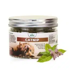 BASIL Catnip Jar for Kittens & Cats, Pure & Natural Cat Nip