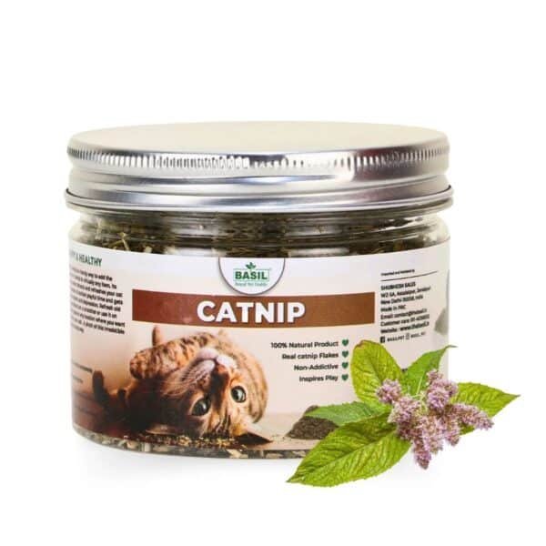 BASIL Catnip Jar for Kittens & Cats, Pure & Natural Cat Nip
