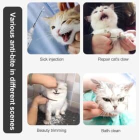 Cat Protective Transparent Hood Cover