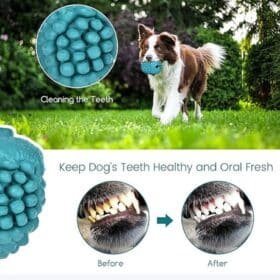 Petopia Pine Cone Pet Treat Dispensing Dog Toy