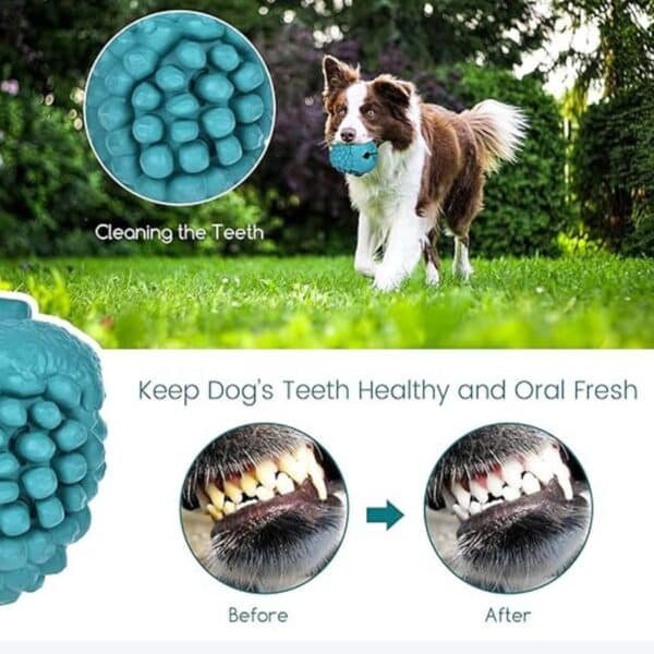 Petopia Pine Cone Pet Treat Dispensing Dog Toy