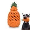 Petopia Pineapple Chew Toy for Dogs
