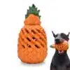 Petopia Pineapple Chew Toy for Dogs