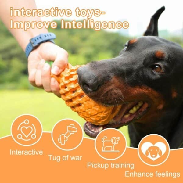 Petopia Pineapple Chew Toy for Dogs