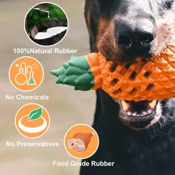 Petopia Pineapple Chew Toy for Dogs