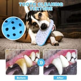Petopia Slipper Bite Resistant Rubber Dog Chew Toy