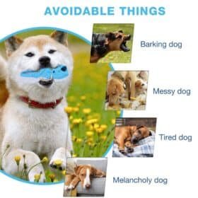 Petopia Slipper Bite Resistant Rubber Dog Chew Toy