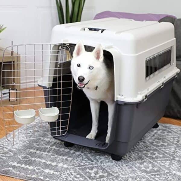 Travel Carrier For Dogs 32inch Creme & Grey