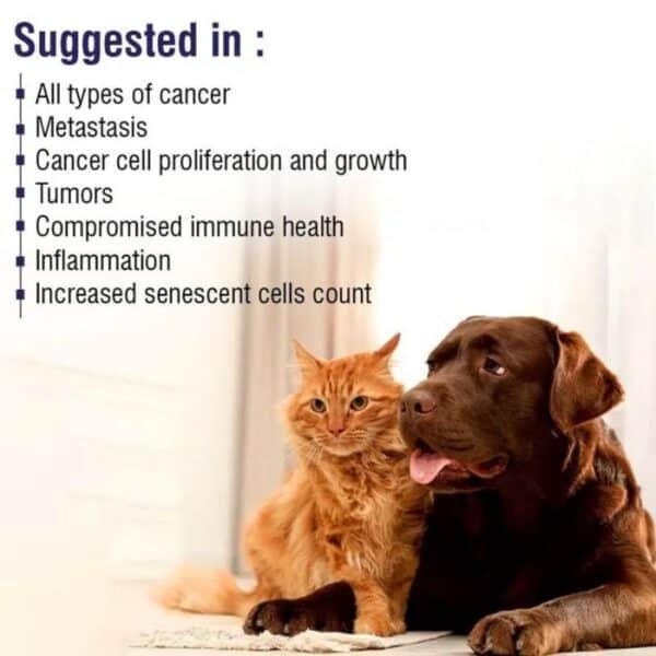 MPS-Liposomal-Apigenin-For-Dogs-500mg