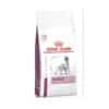 Royal Canin Veterinary Diet Cardiac Dog Dry Food