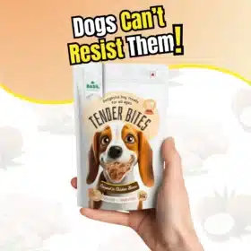 Basil Tender Bites Coconut in Chicken Bones Premium Dog Treat