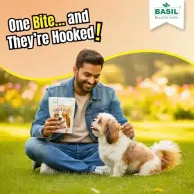 Basil Tender Bites Diced Chicken Premium Dog Treat