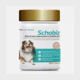 Vvaan Naturals Schobiz 40tabs for dogs
