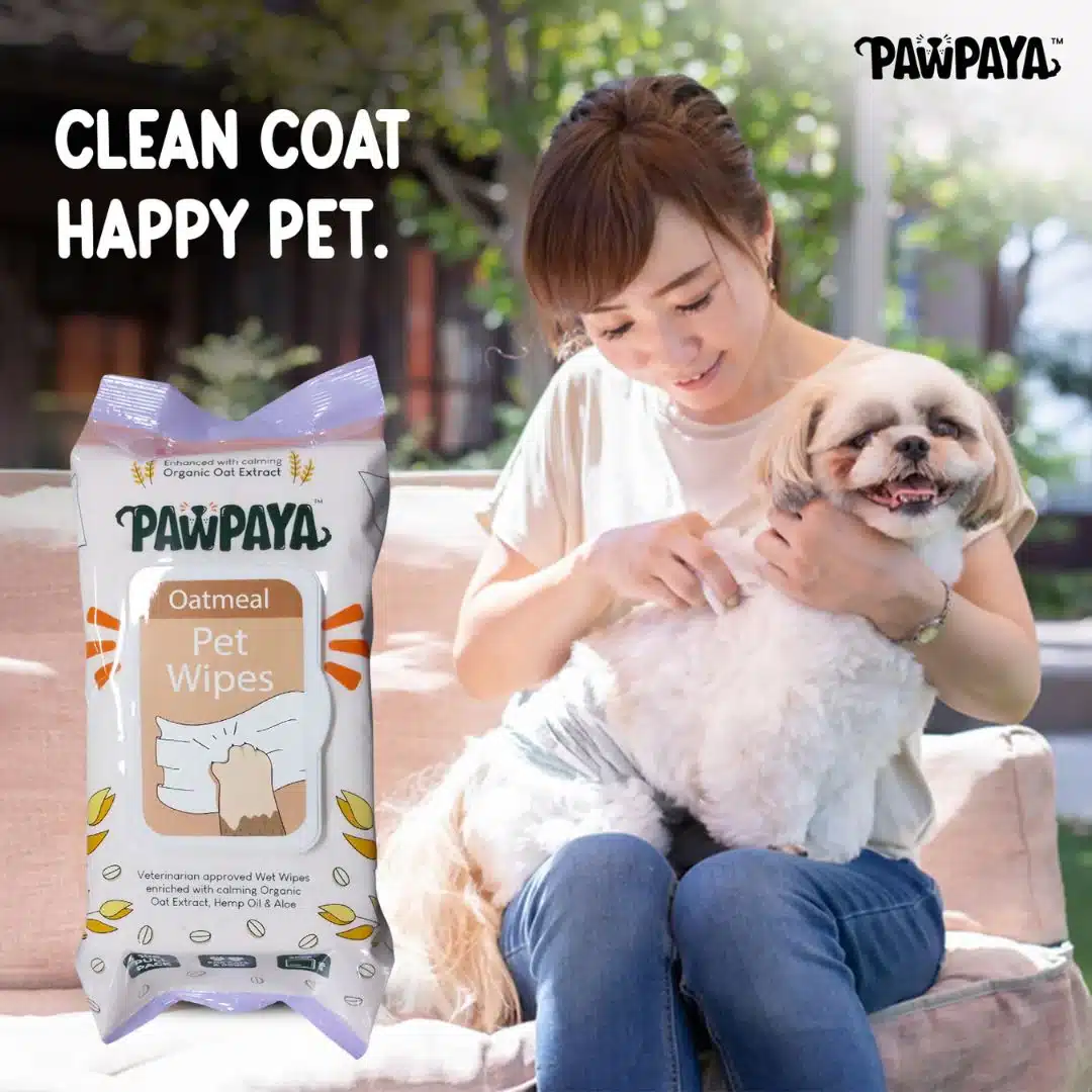 Abk Pawpaya Oatmeal Pet Wipes 100 Pull Pack