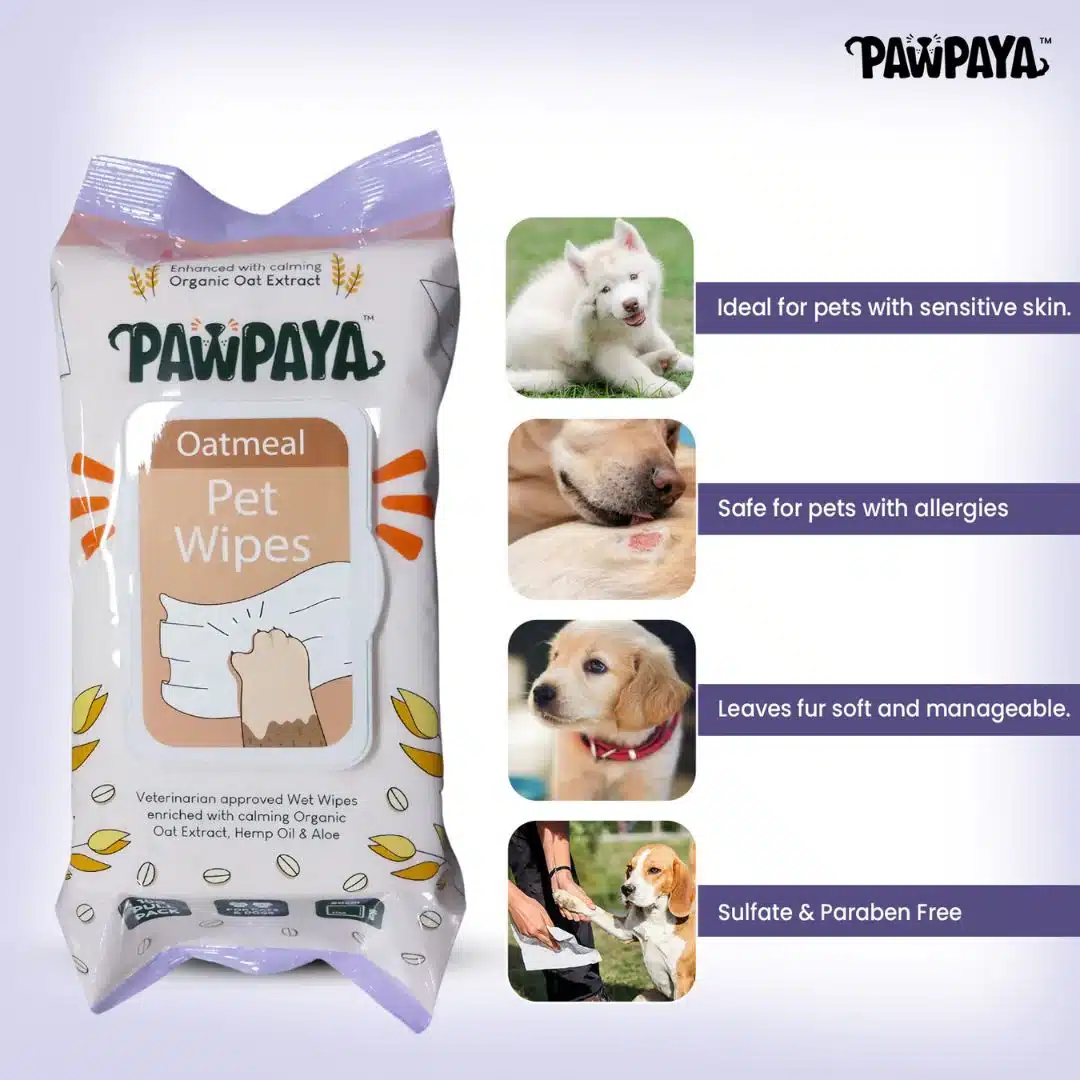 Abk Pawpaya Oatmeal Pet Wipes 100 Pull Pack