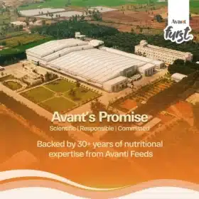 Avant Furst Chicken and Vegetable Adult Dog Dry Food