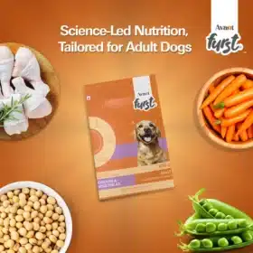 Avant Furst Chicken and Vegetable Adult Dog Dry Food