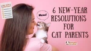 6 New-Year Resolutions for Cat Parents