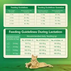 Avant Furst Tuna Fish Flavour Kitten Cat Dry Food