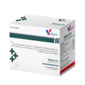Drools Minboost Fe Tablets Supplement for Dogs