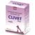 Corise Clivet Syrup Clindamycin for Dogs and Cats -30ml