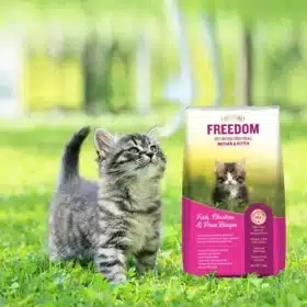 Freedom Fish Chicken & Peas Kitten Dry Cat Food