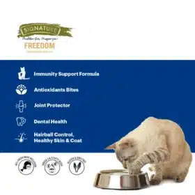 Freedom Fish Chicken & Peas Kitten Dry Cat Food