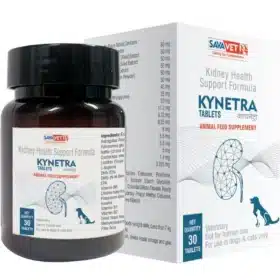 Kynetra Tablets for Kidney Health Support for Dogs and Cats