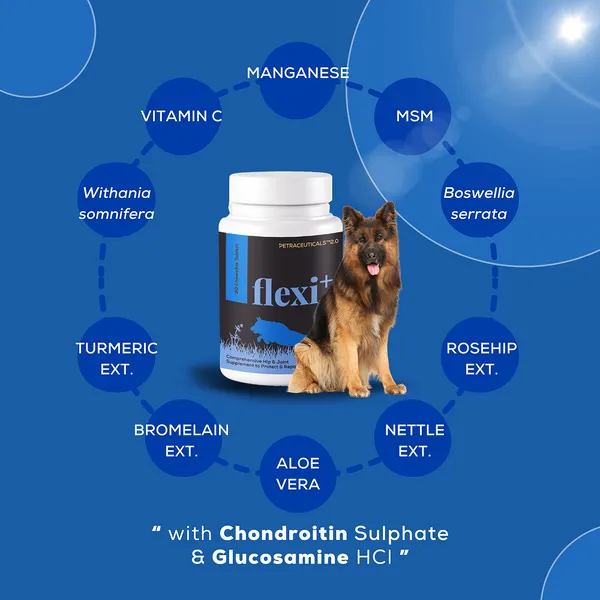 Venttura Flexi Plus Hip and Joint Chewable Tablets for Dogs