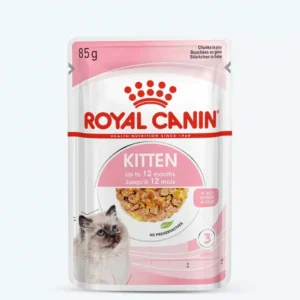 Royal Canin Kitten Jelly Wet Cat Food