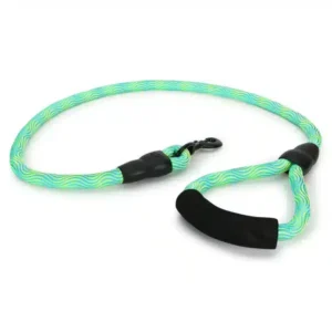 Basil Rope Leash for Dogs 4 Feet (Yellow & Green)