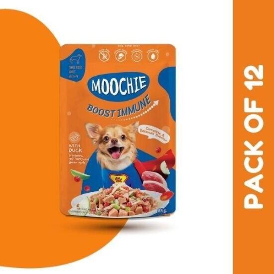 BOOST-IMMUNE-POUCH-PACK-OF-12.jpg BOOST-IMMUNE-POUCH-PACK-OF-12.jpg