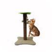 Basil-Cat-Coconut-Tree-Scratcher-with-Dangler-1.jpg