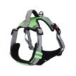 Basil-Dog-Fully-Padded-Harness-with-Handle-Green-1.jpg