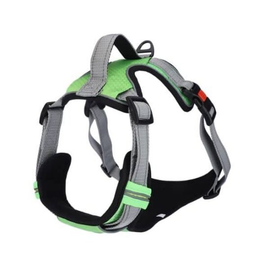 Basil-Dog-Fully-Padded-Harness-with-Handle-Green-1.jpg Basil-Dog-Fully-Padded-Harness-with-Handle-Green-1.jpg