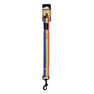 Basil Printed  Padded Leash for Dogs - Rainbow Colour