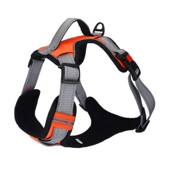 Basil-Dog-Fully-Padded-Harness-with-Handle-Orange-1.jpg