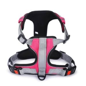 Basil Handle Harness No-Pull Adjustable Harness-Pink