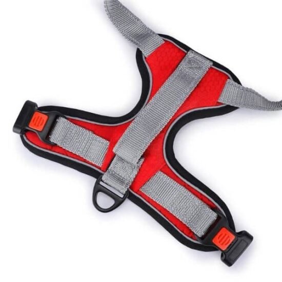 Basil-Dog-Fully-Padded-Harness-with-Handle-Red-1.jpg