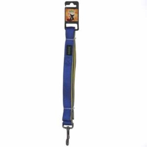 Basil Padded Leash for Dogs - Blue