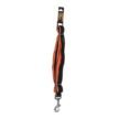 Basil-Padded-Leash-for-dogs.jpg