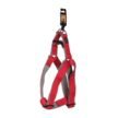 Basil-Padded-body-Harness-for-dogs-3.jpg