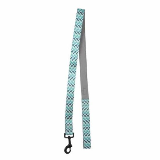 Basil-Printed-Padded-Green-Leash-for-dogs-1.jpg Basil-Printed-Padded-Green-Leash-for-dogs-1.jpg
