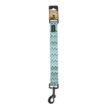 Basil-Printed-Padded-Green-Leash-for-dogs.jpg