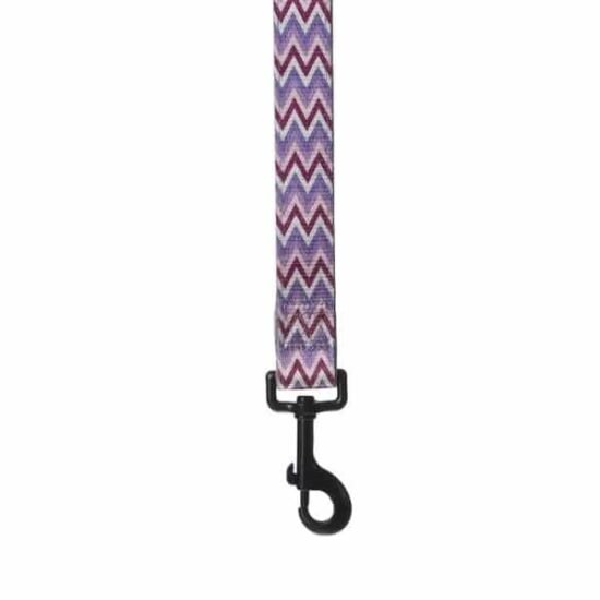 Basil-Printed-Padded-Leash-for-dogs-2.jpg Basil-Printed-Padded-Leash-for-dogs-2.jpg