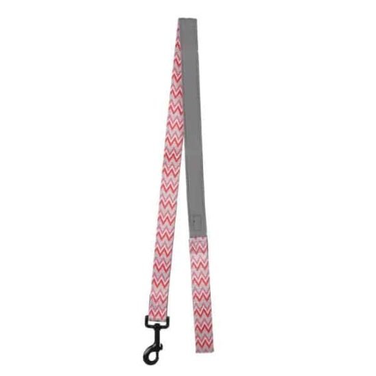 Basil-Printed-Padded-Red-Leash-for-dogs-1.jpg Basil-Printed-Padded-Red-Leash-for-dogs-1.jpg