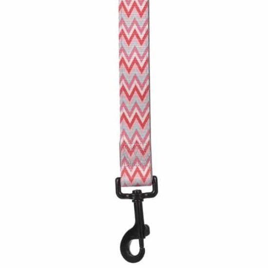 Basil-Printed-Padded-Red-Leash-for-dogs-2.jpg Basil-Printed-Padded-Red-Leash-for-dogs-2.jpg