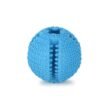 Basil-Solid-Ball-with-Hollow-Centre-Grooves-in-Sides-for-Treats-1.jpg
