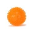 Basil-Spike-Squeaky-Ball-Toy-1.jpg