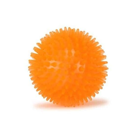 Basil-Spike-Squeaky-Ball-Toy-1.jpg